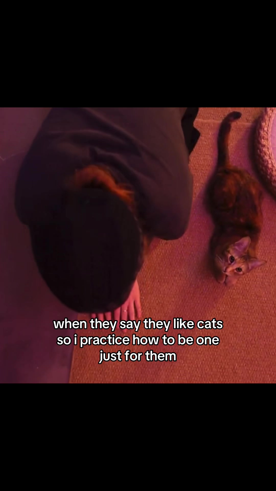 @️fakekittyb