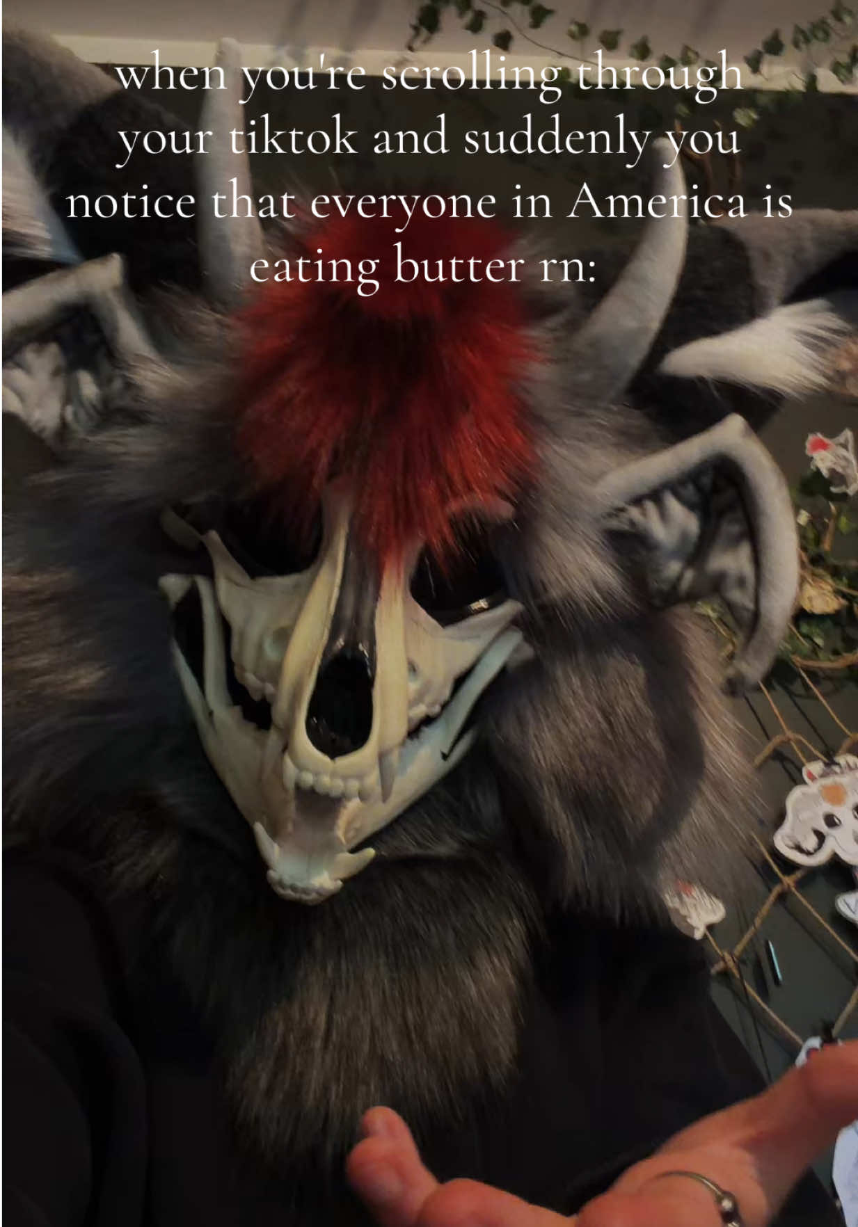 @꧁༺ 𝓥𝓮𝓰𝓪𝓼 ༻꧂