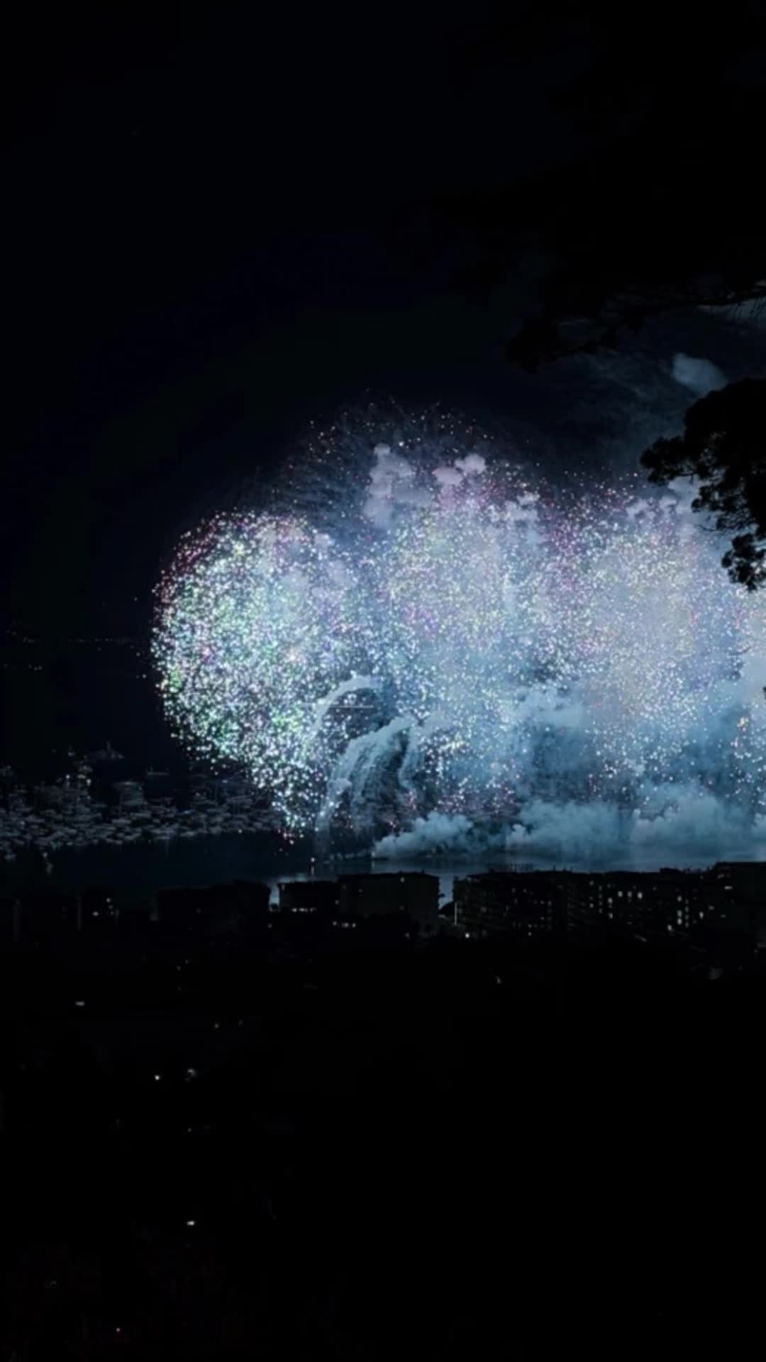 @🔵🟢🔴⚪️