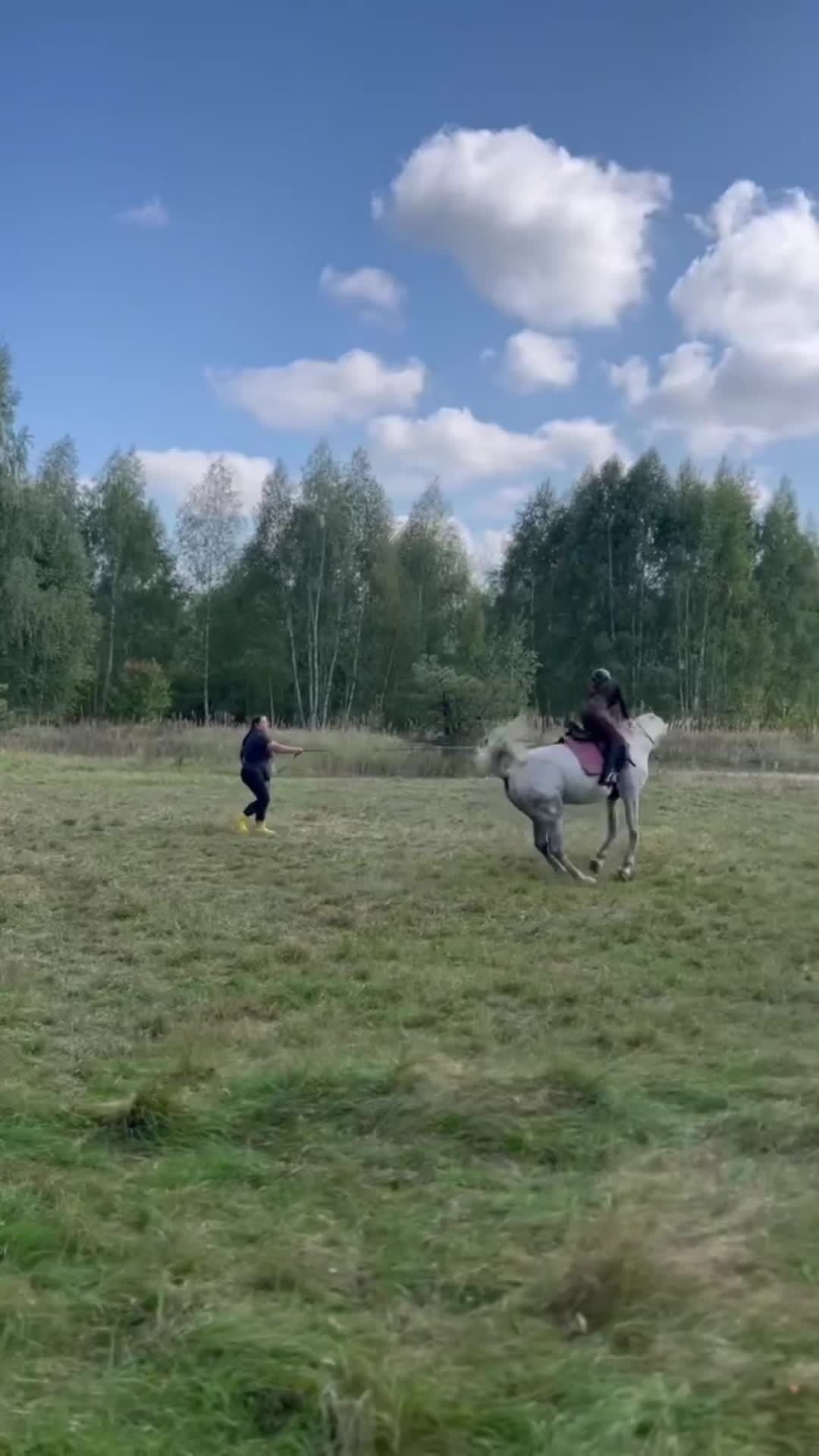 @дидэм