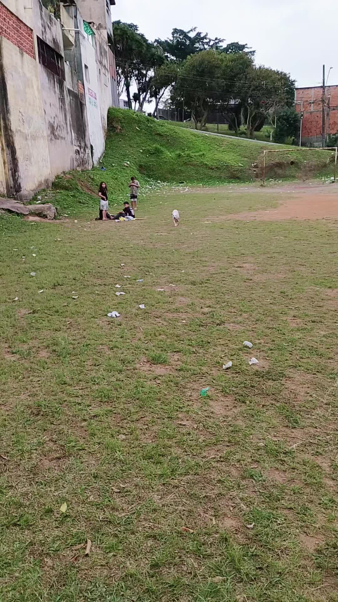 @Thaynarinha