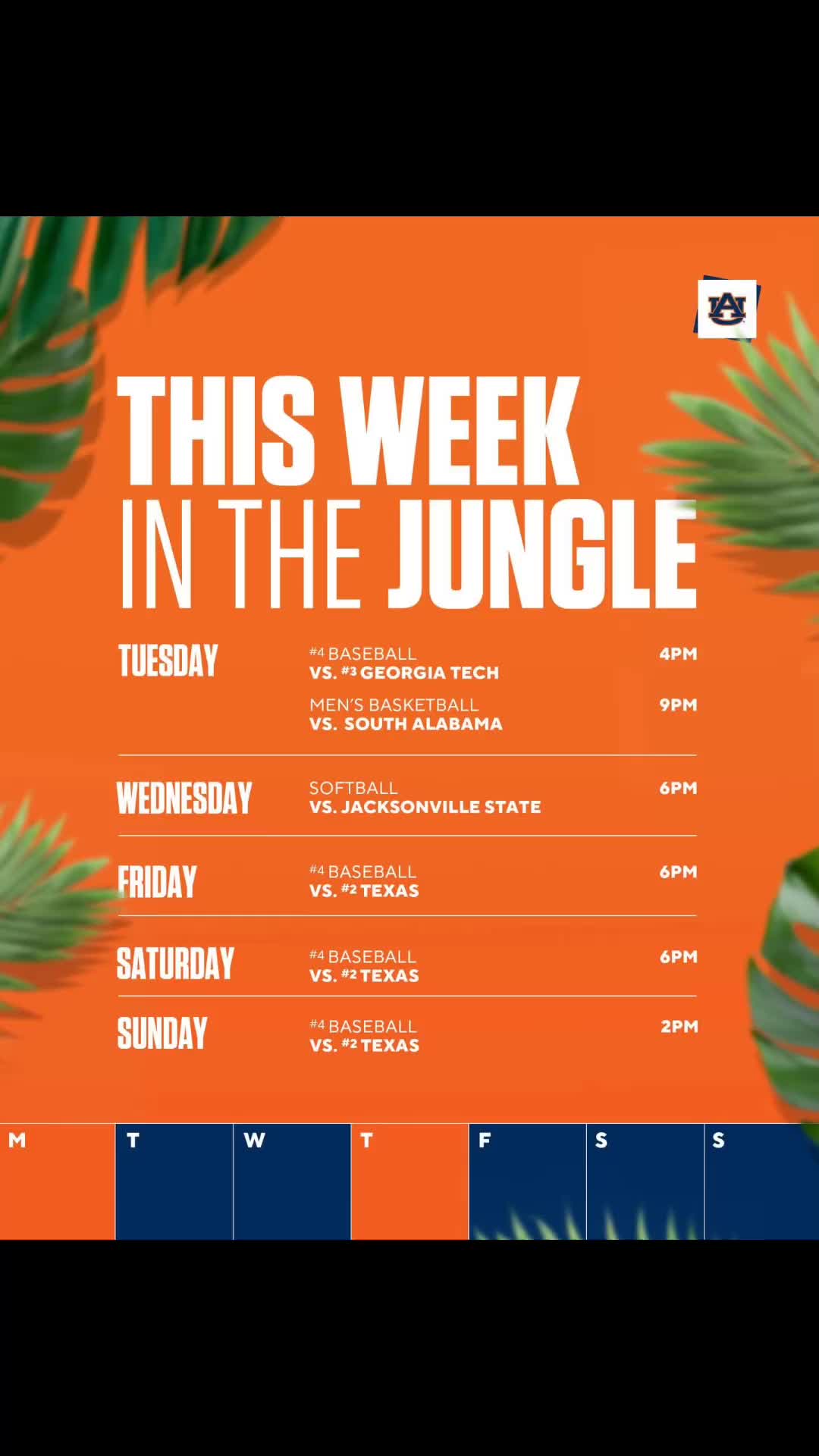 @AuburnFanaticWE