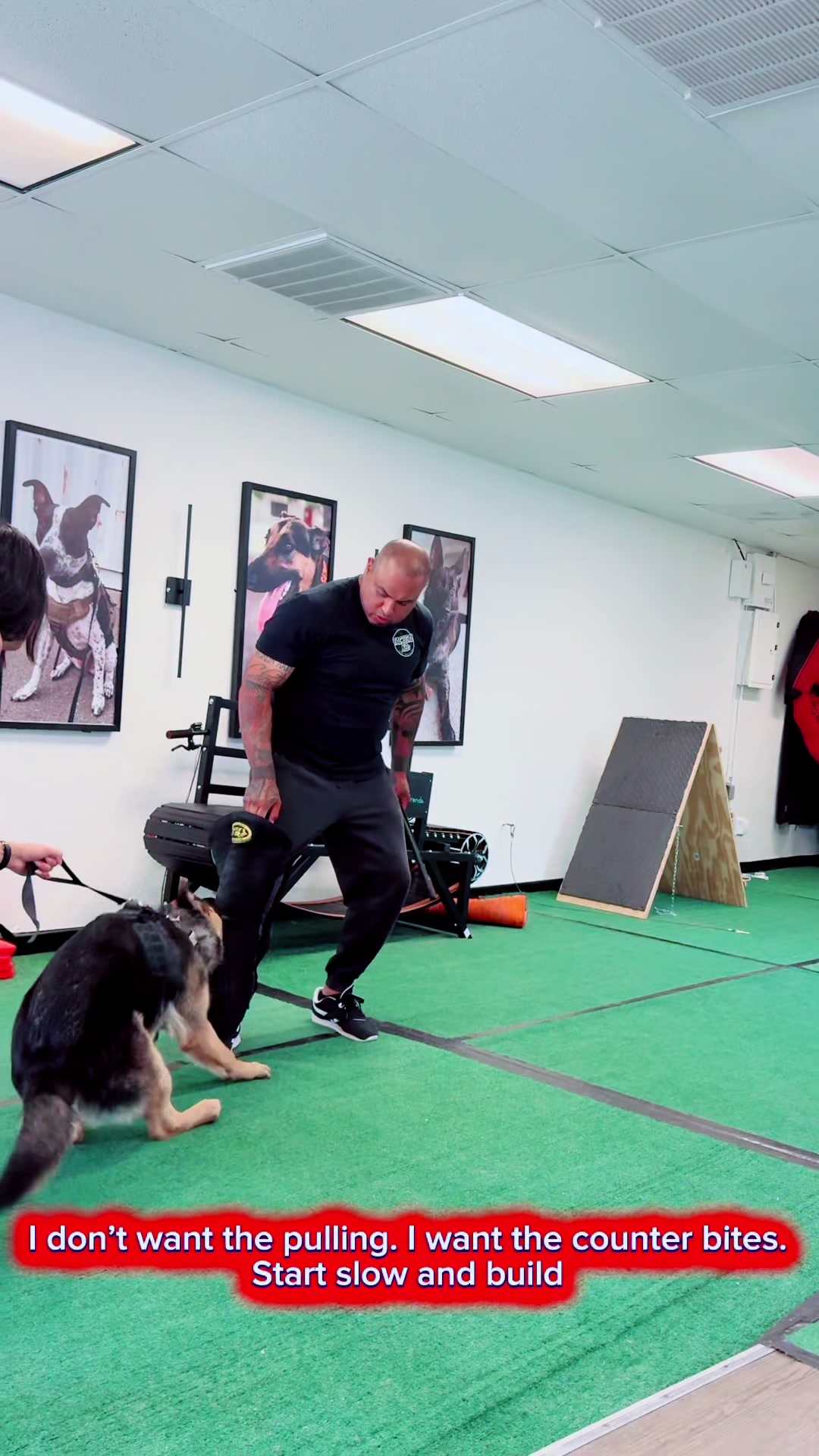 @Tactical K9s Dog Training