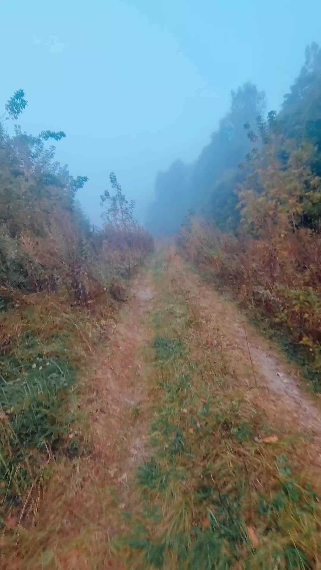 @Коучер