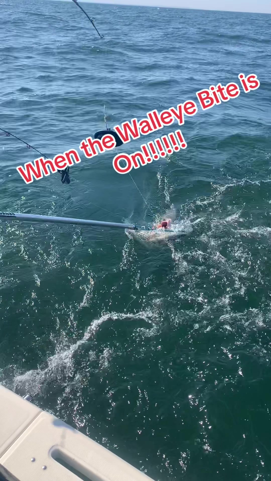 @❌ Chagrin Valley Charters ❌