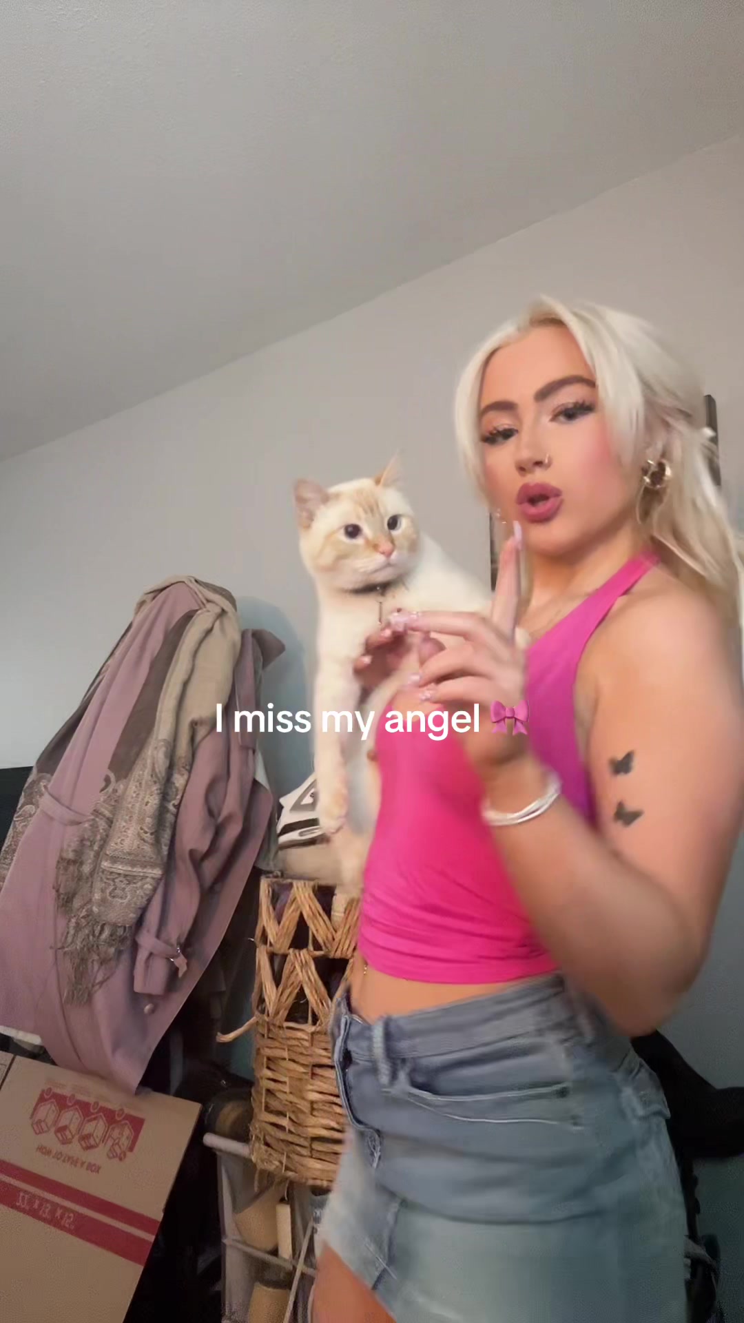 @Meow