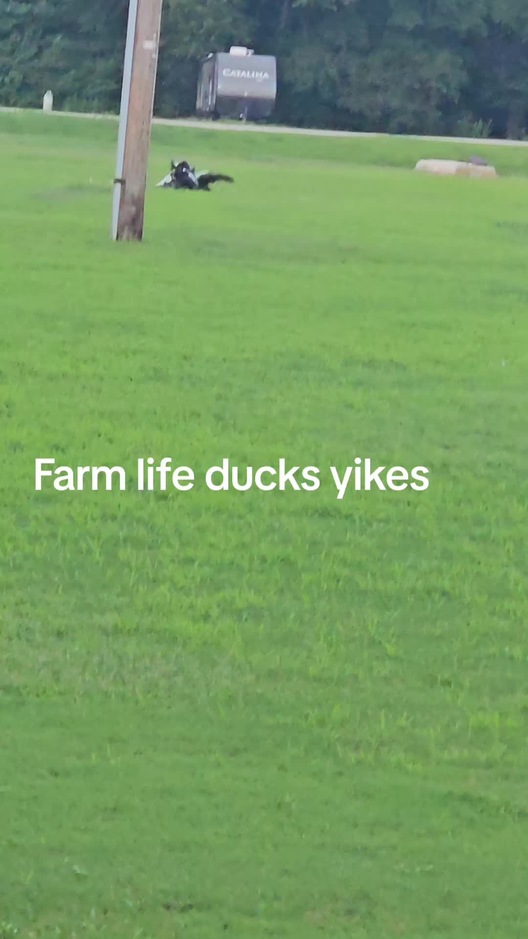@account 17