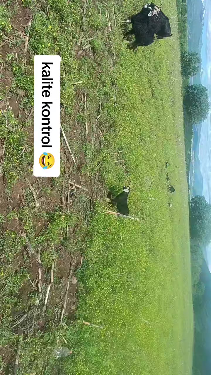 @koçer.12