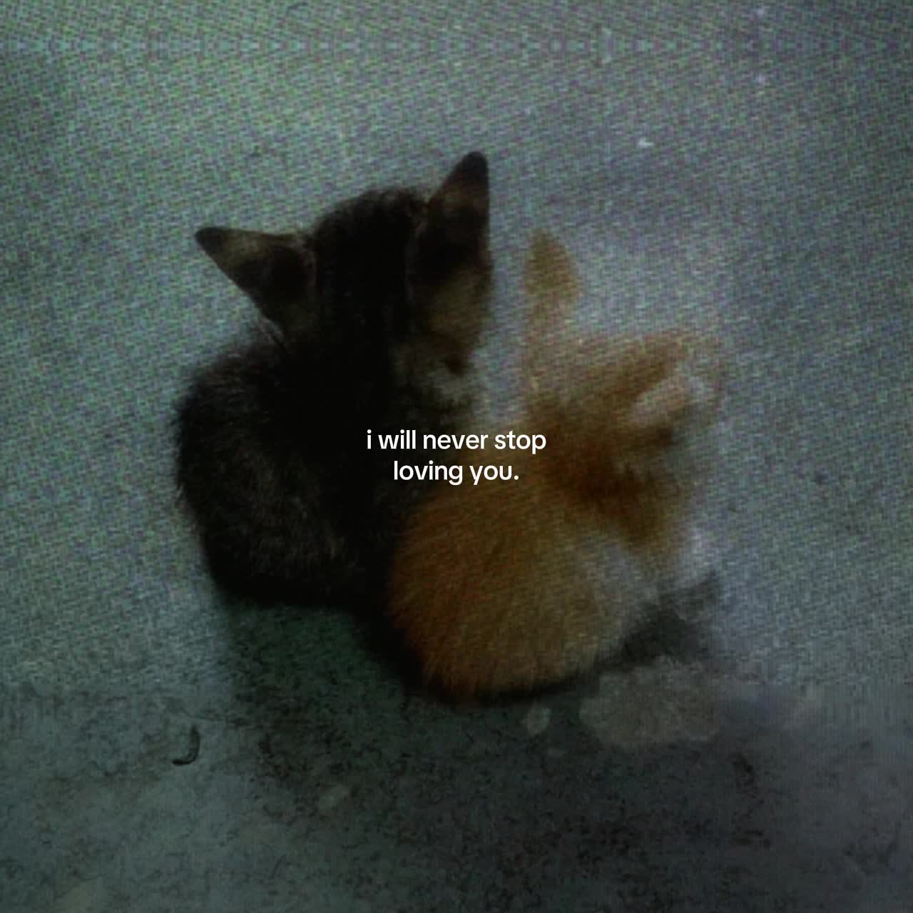 @Spotify: LXNYA