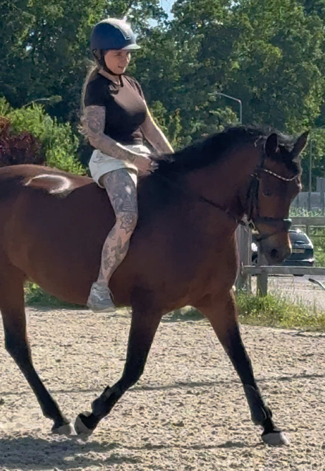@Young Rider Journey🐴