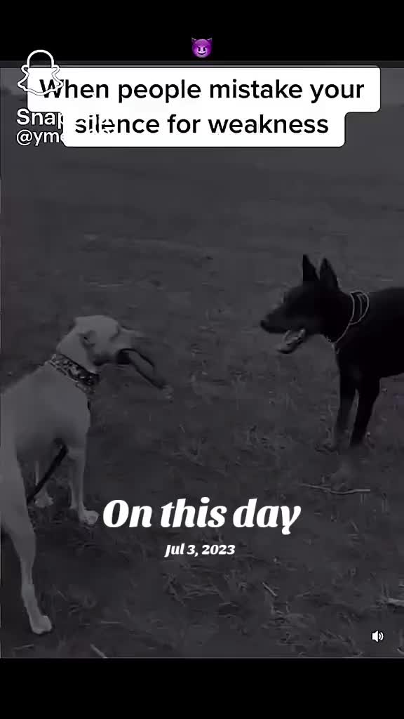 @Melissa/Jennvinok