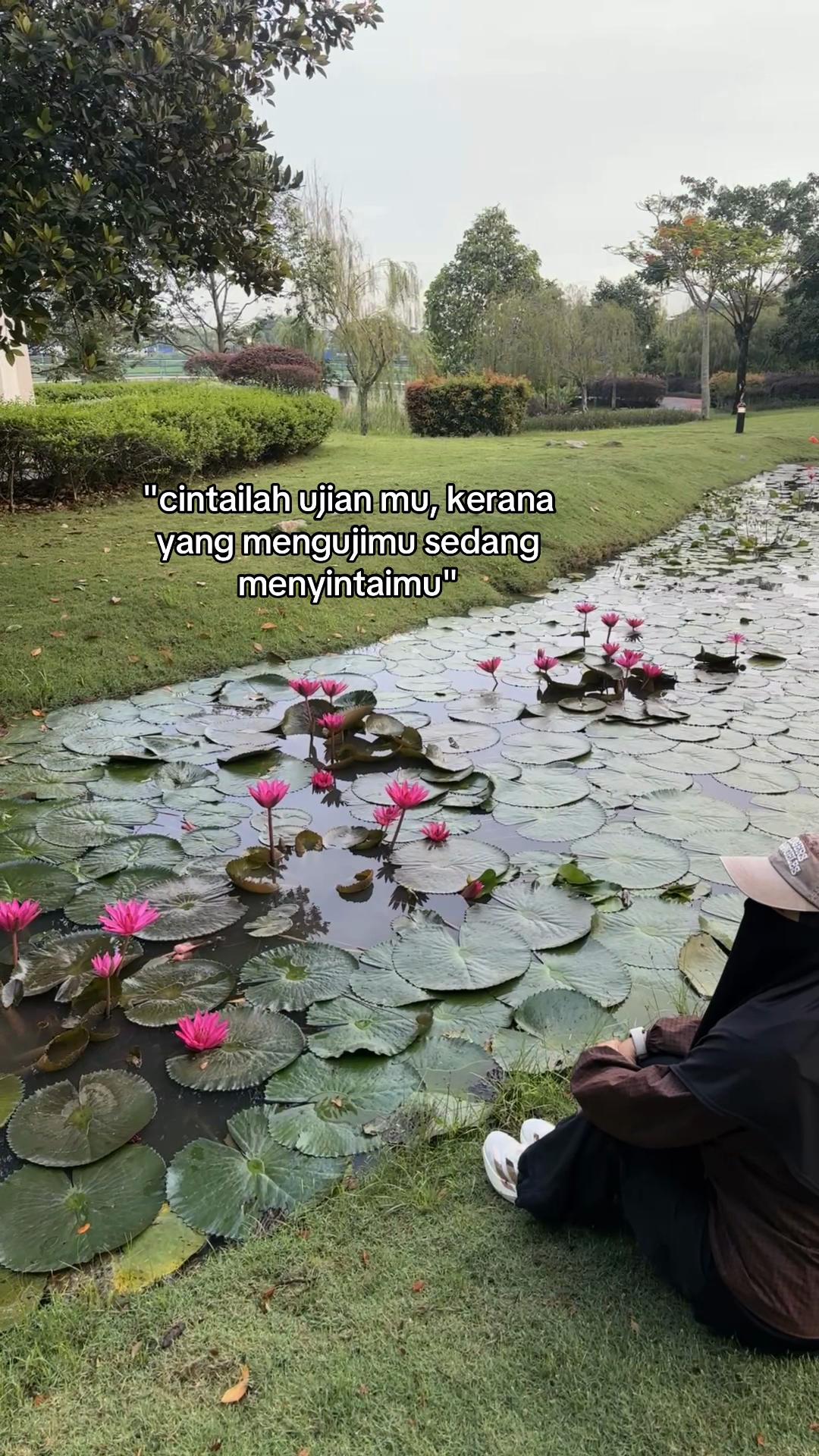 @Dewie Sam🌷