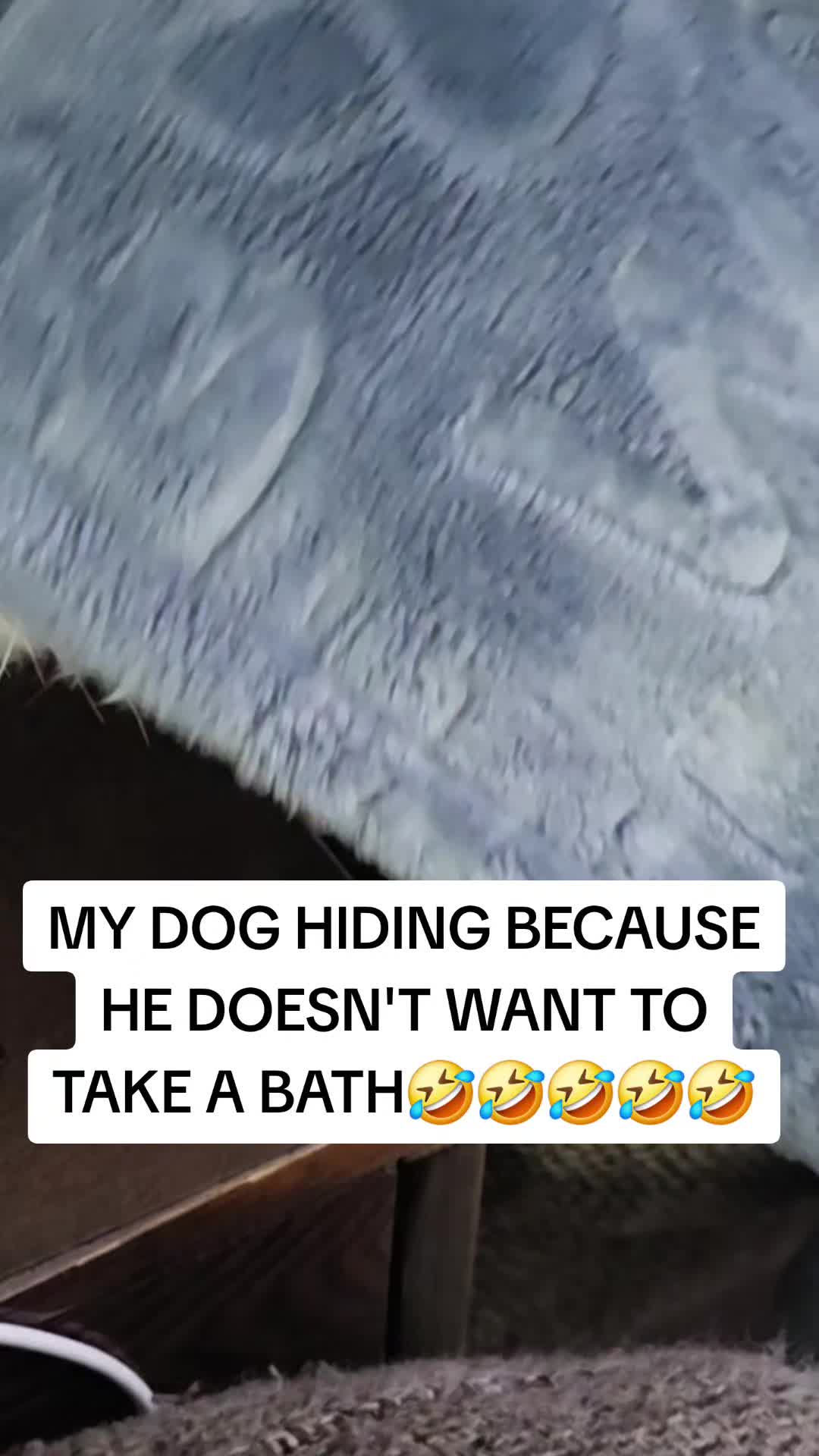 @just-random-stuff