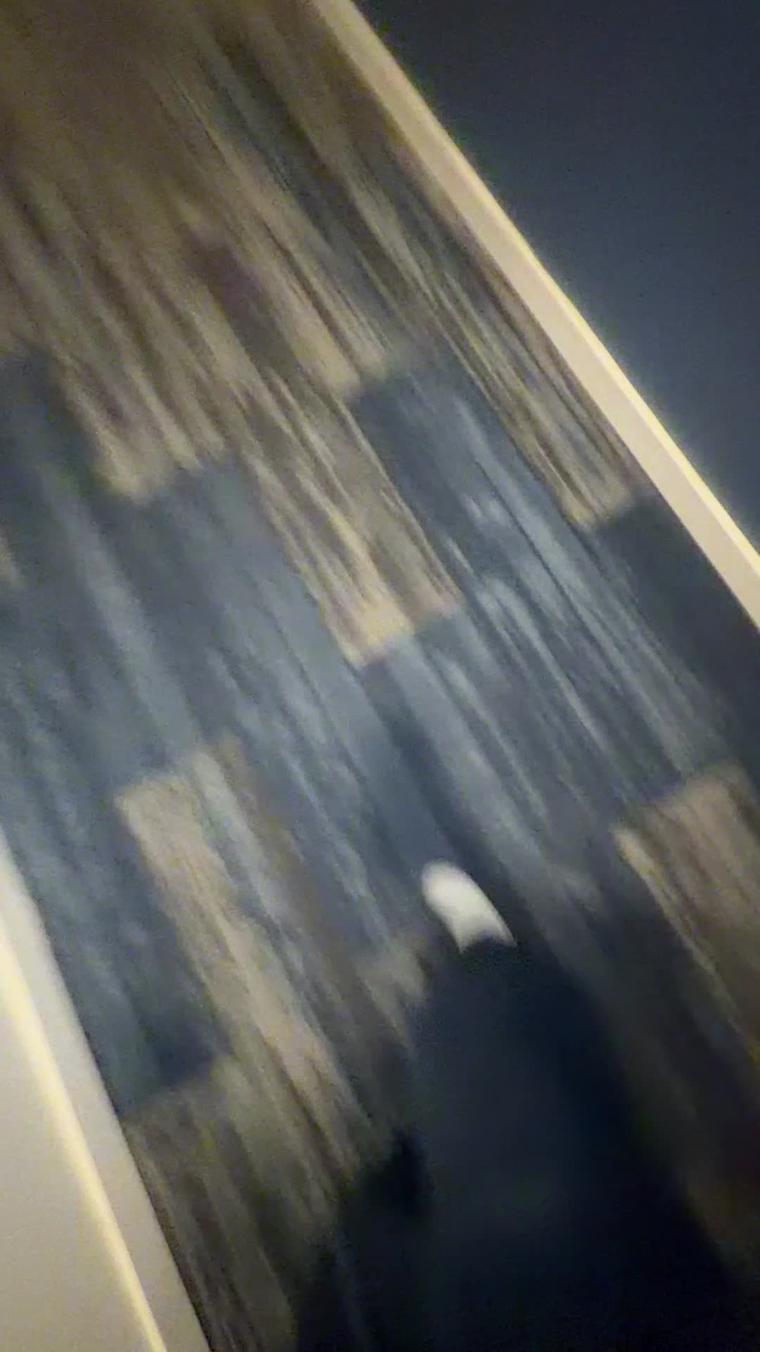 @parisss
