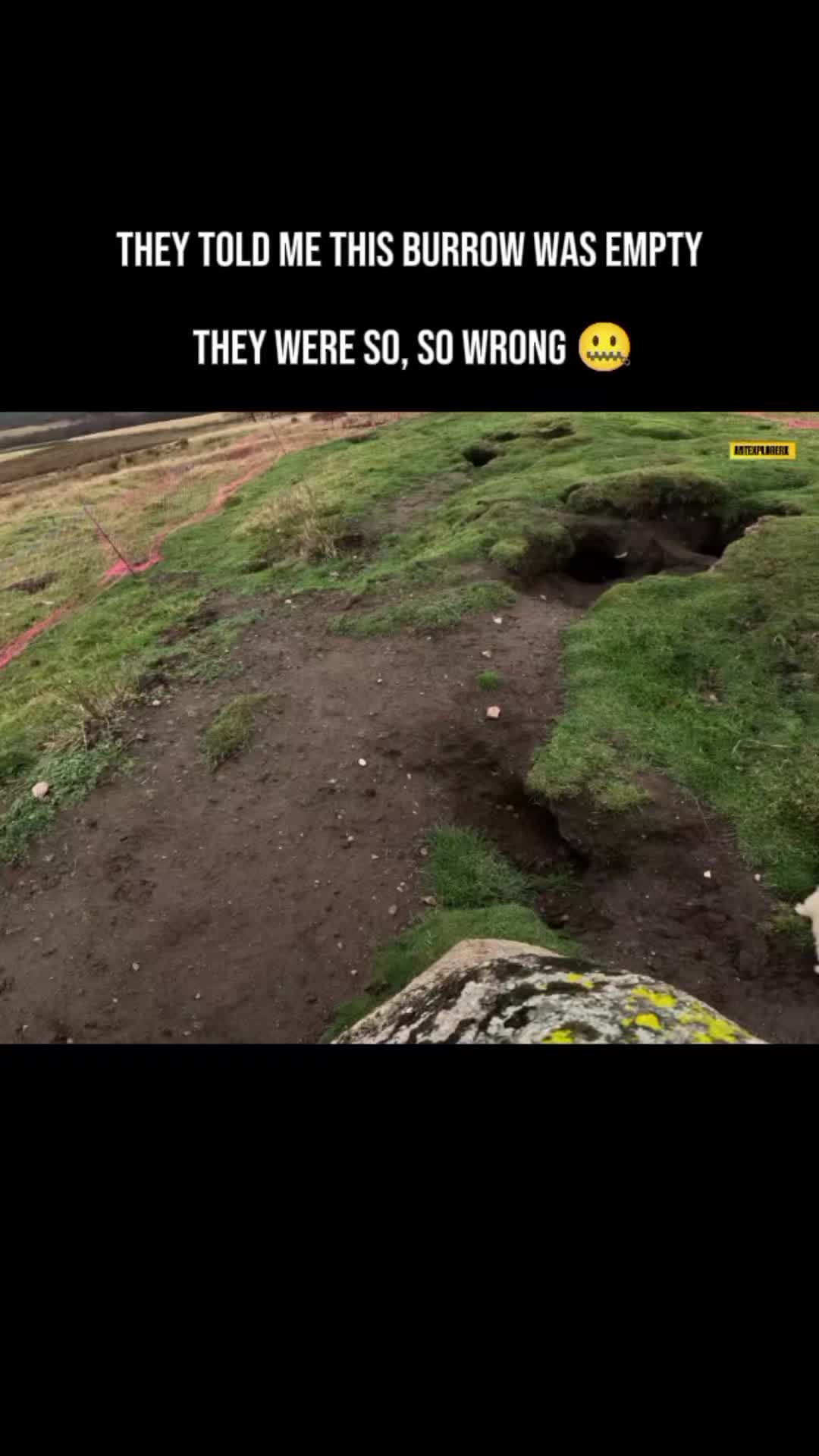 @Ant Explorerx