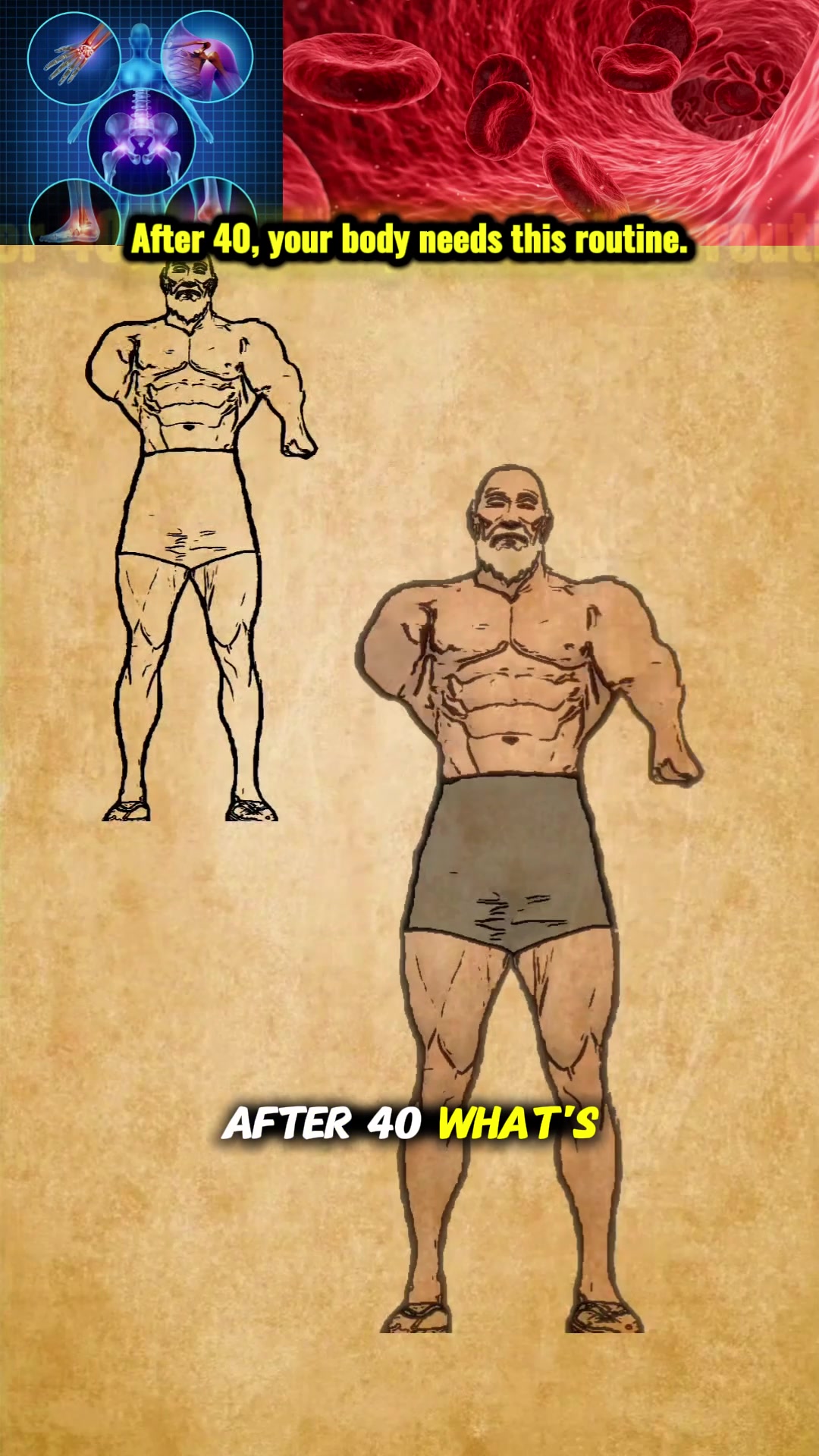 @healtoyezpd