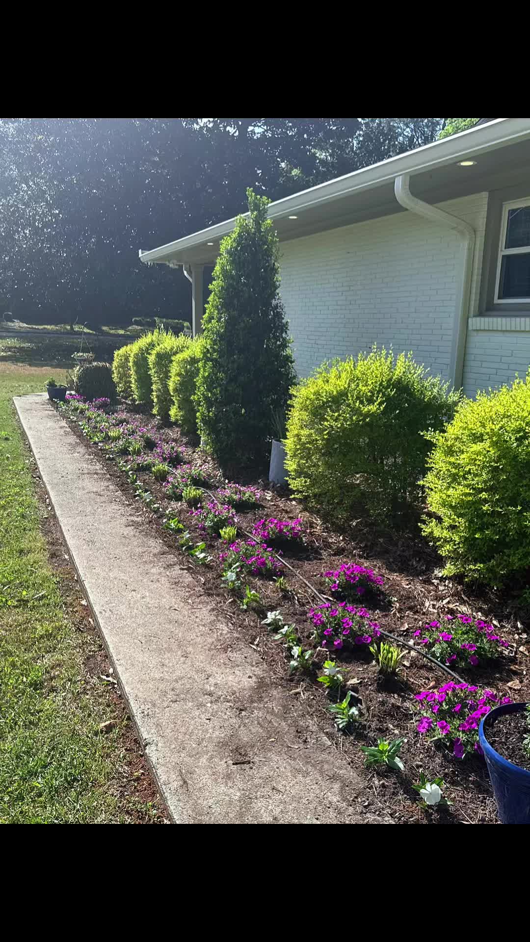 @The FlowerNP
