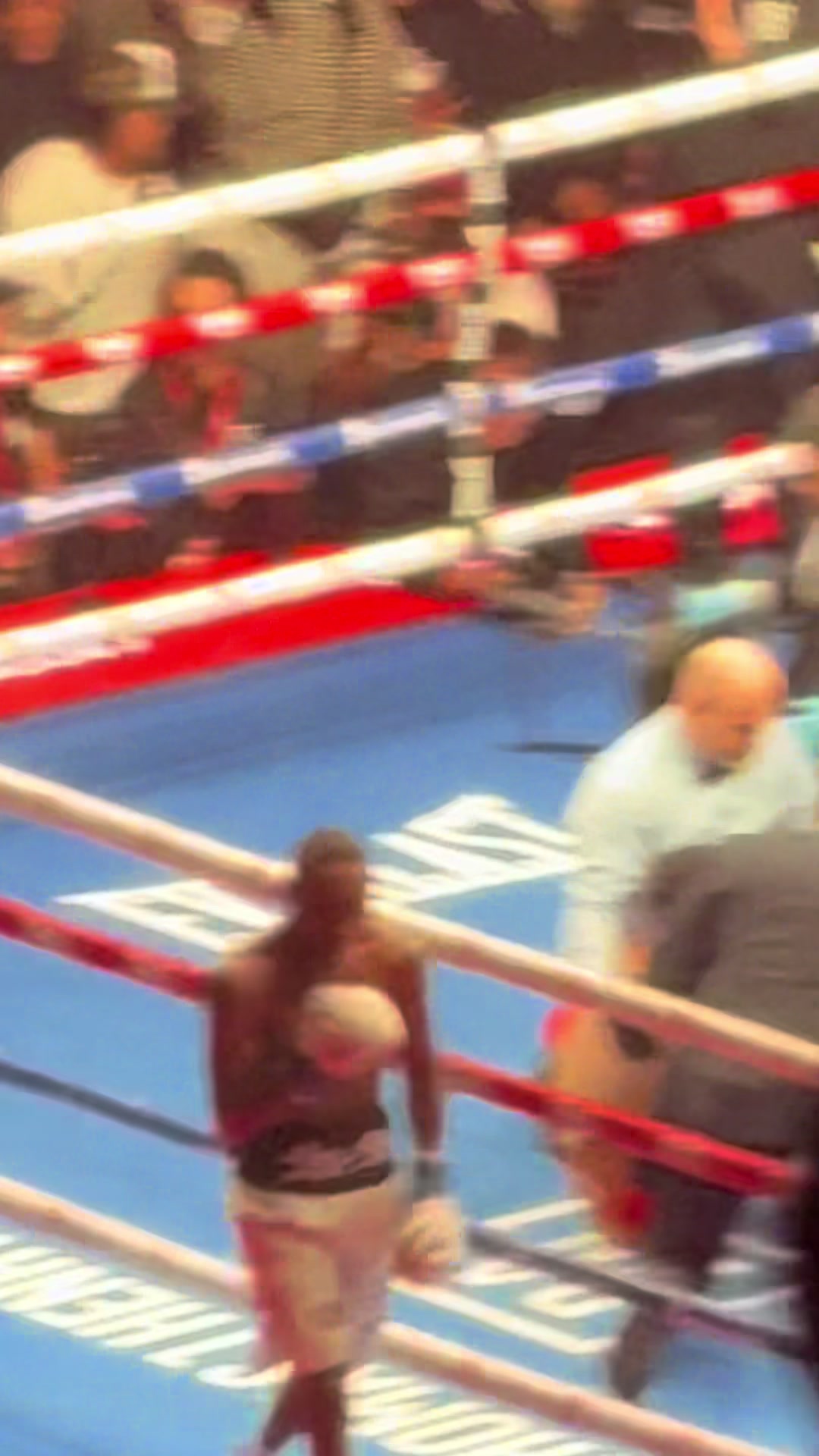 @macleodpittsboxing