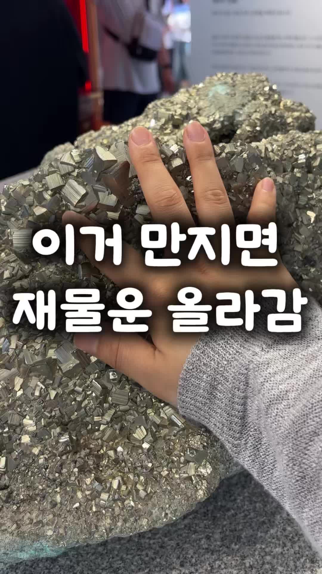 @창원 미도리