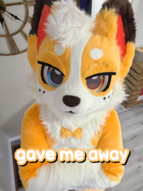 @Corgi