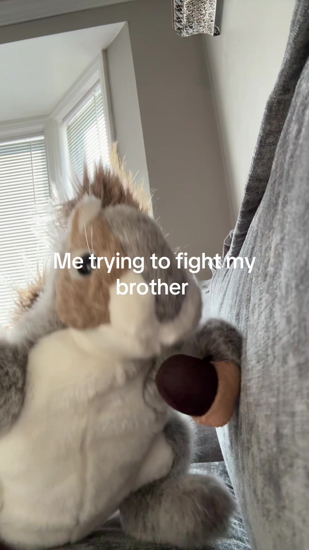 @Apple squirrel