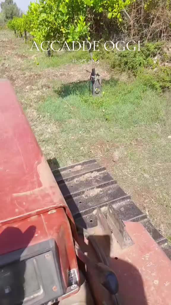 @user8770659710641