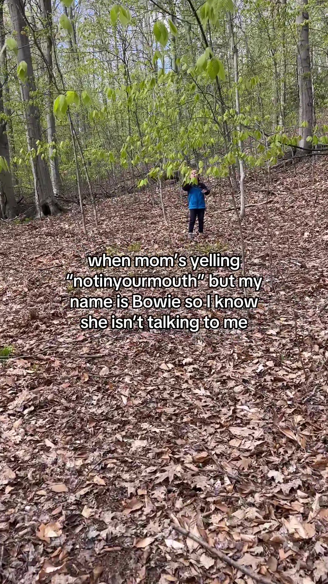 @Luci ☆ autism advocate & mom