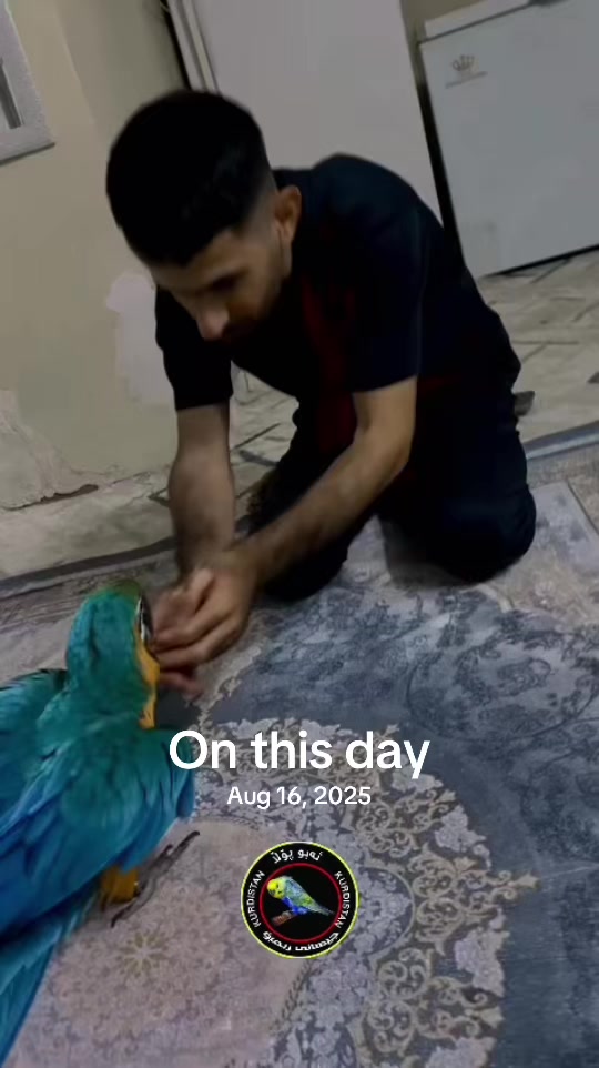 @أبو پؤلا