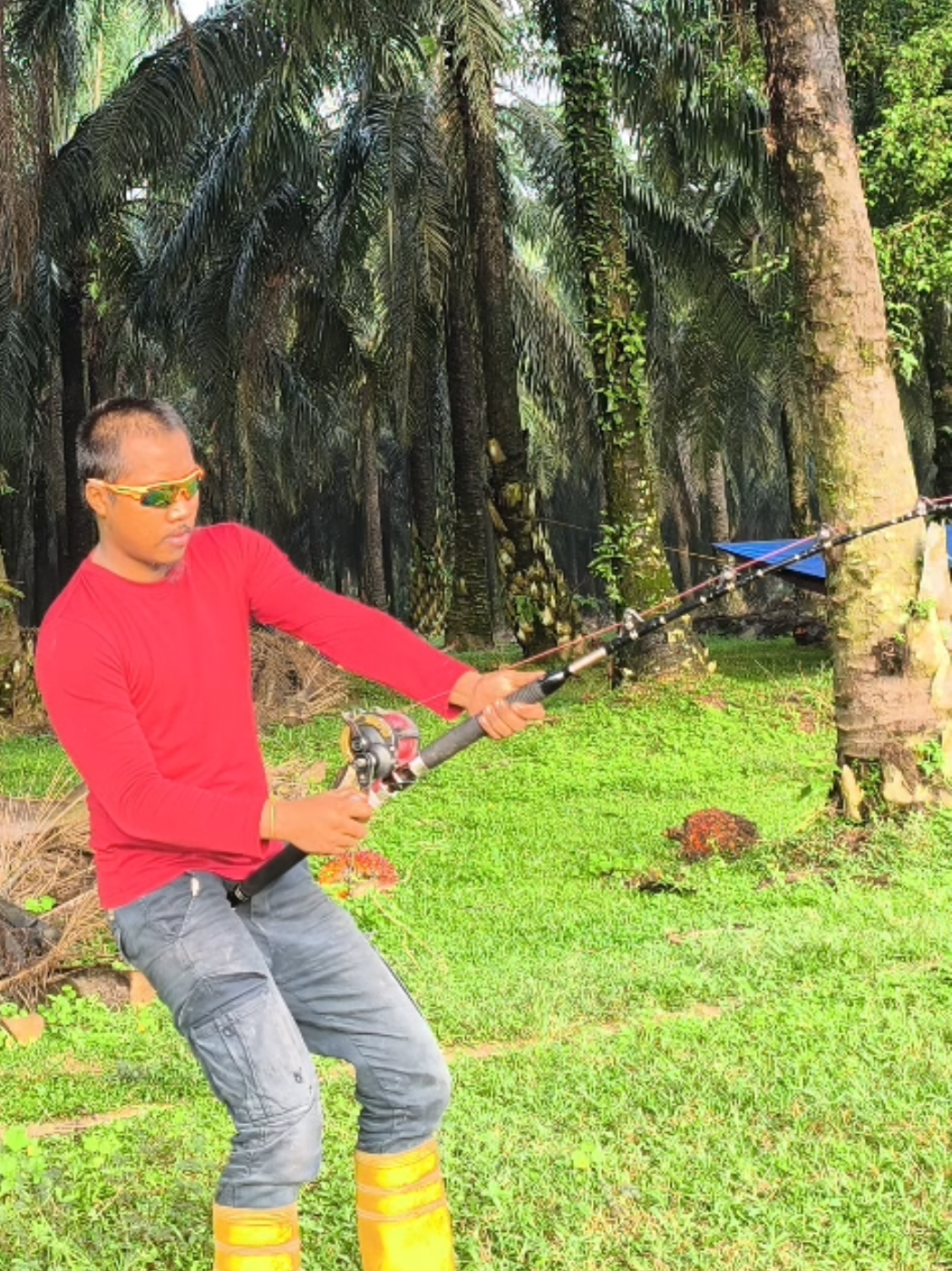 @wan caster™