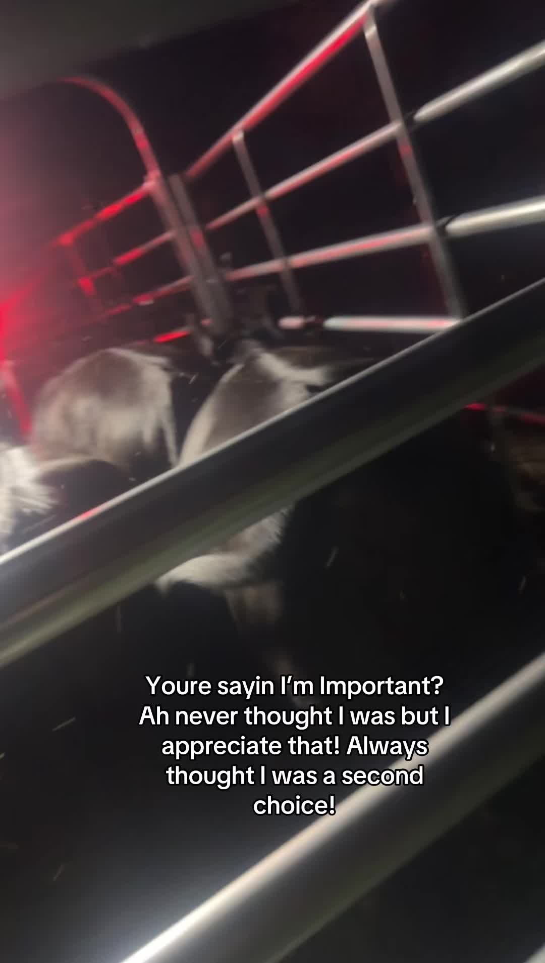@tripleclivestock
