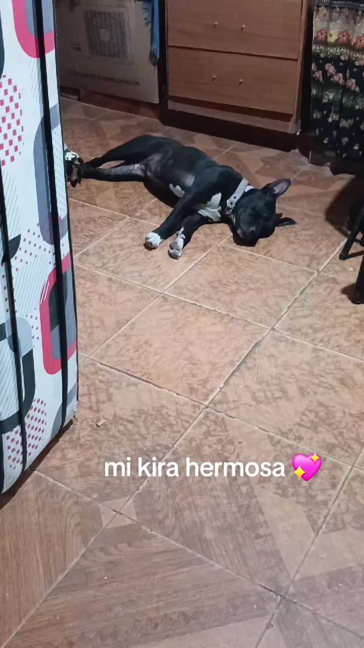 @jaquelin villalba