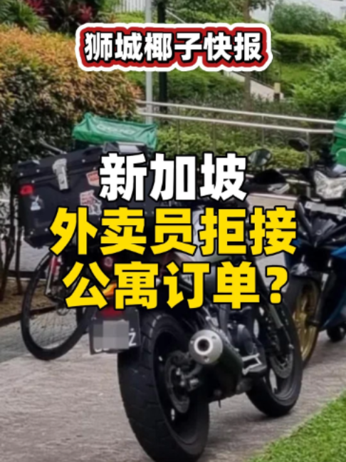 @新加坡狮城椰子