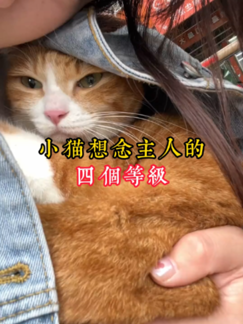 @catology