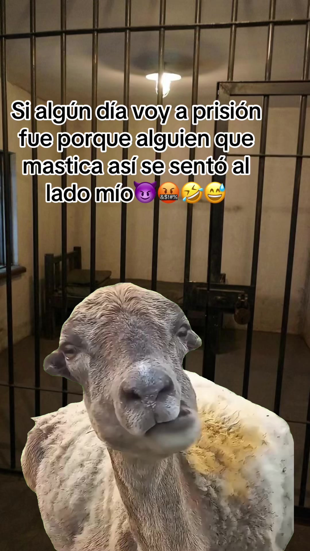 @Marlén Barraza🐚🐉💫