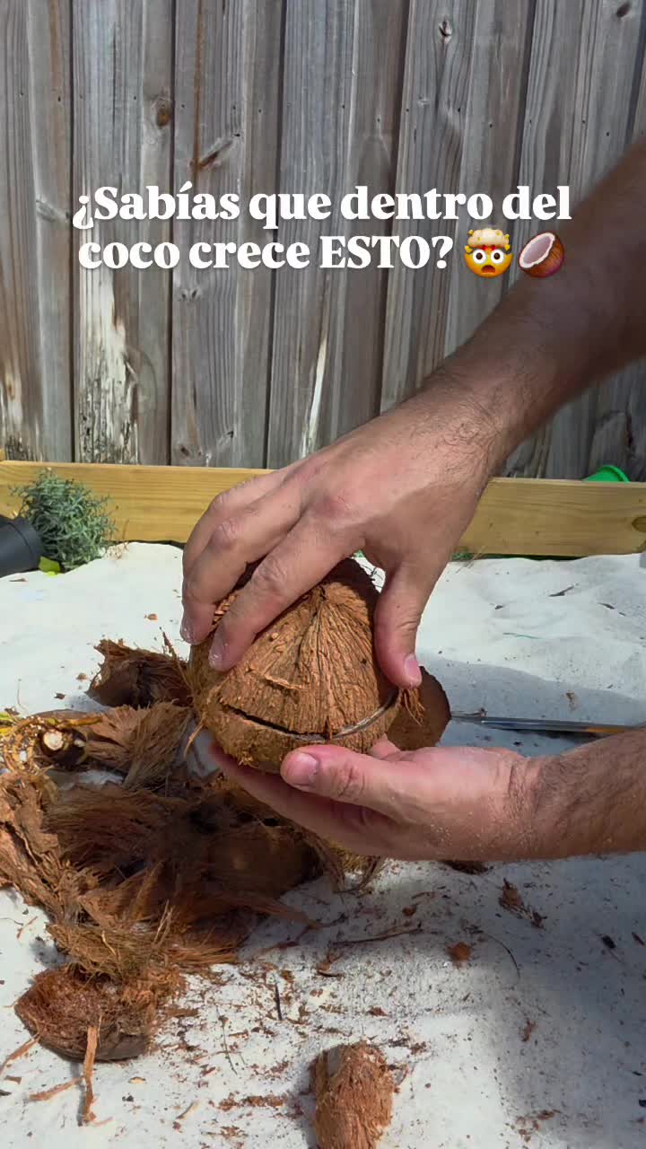 @cocosjuancho