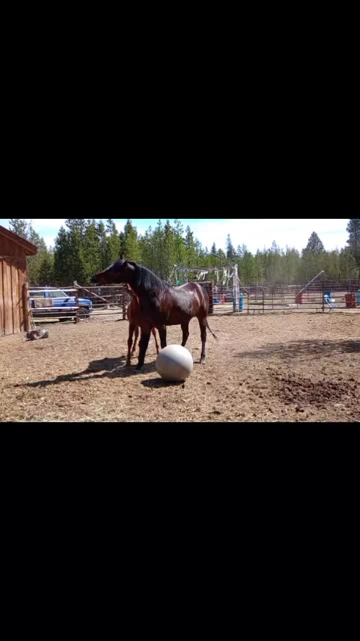 @@rockn_rnr_
