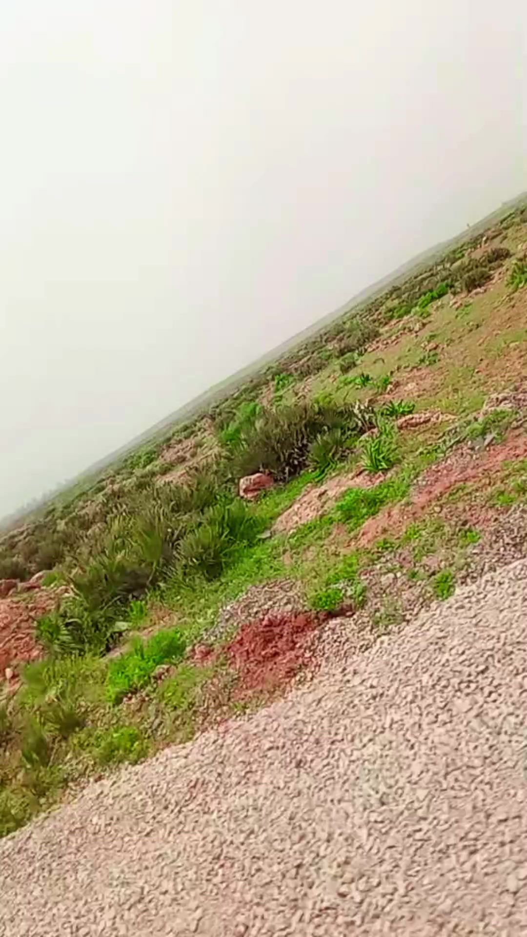 @S3idiya🍯🤤