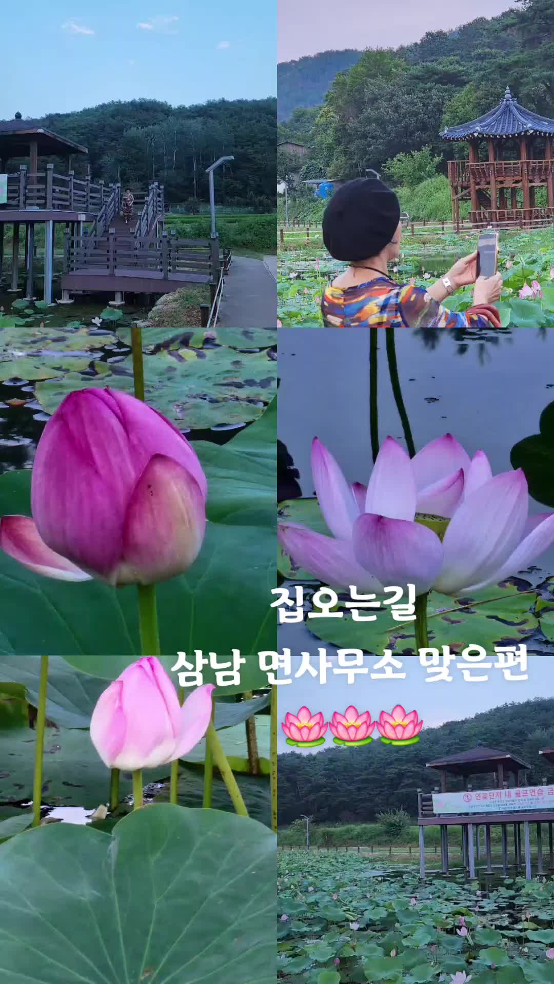 @요리 잘하는 이사임당