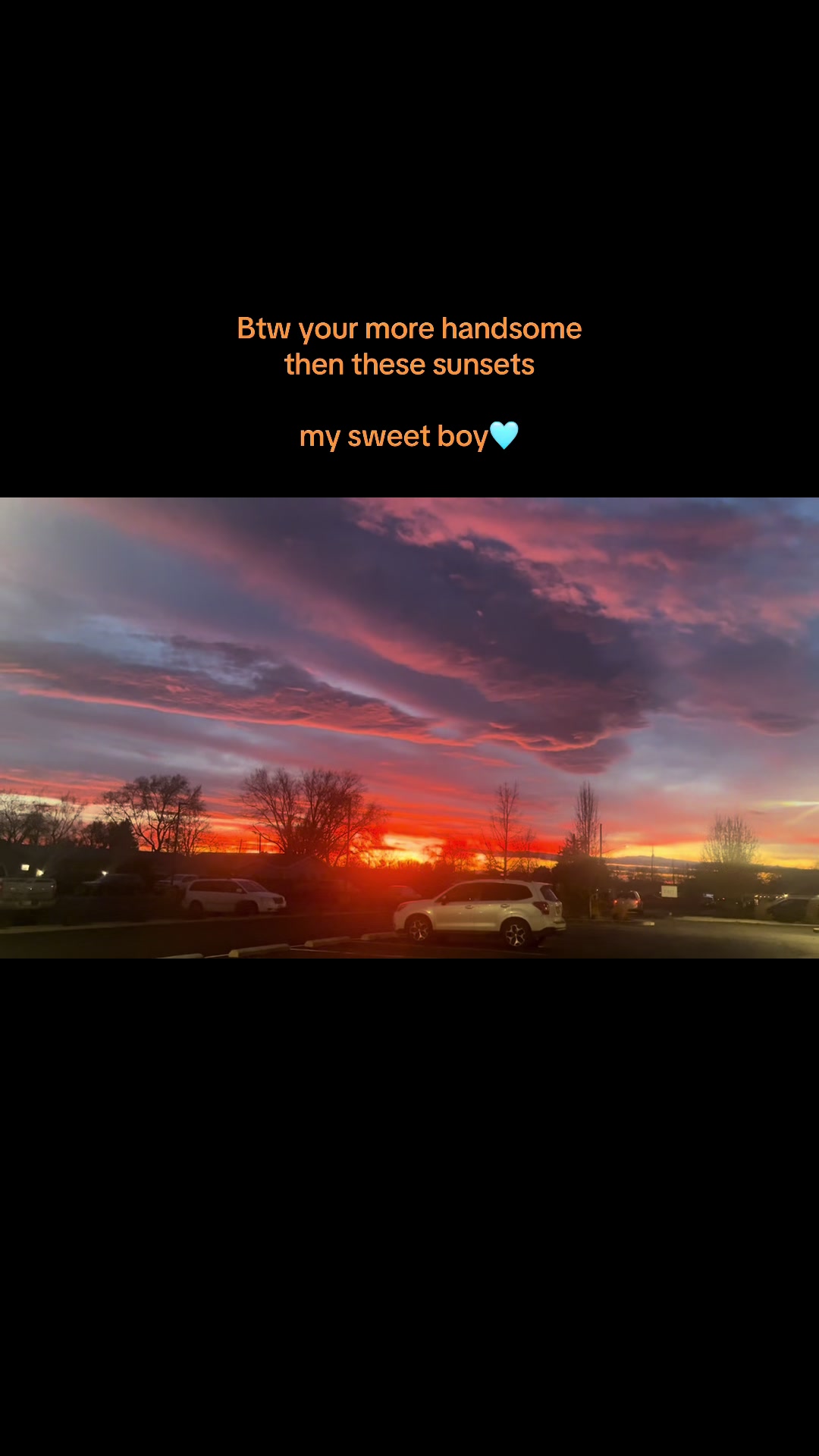@Raelynn 🩵🌸