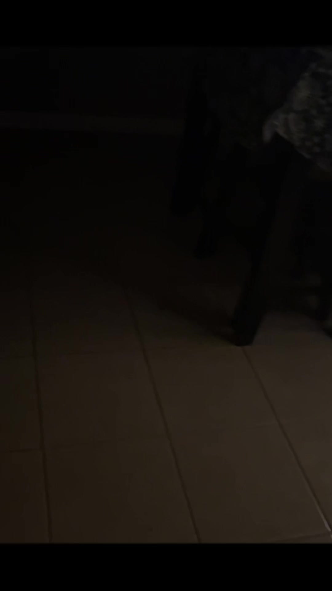 @ꪗꪖ𝘳𝓲