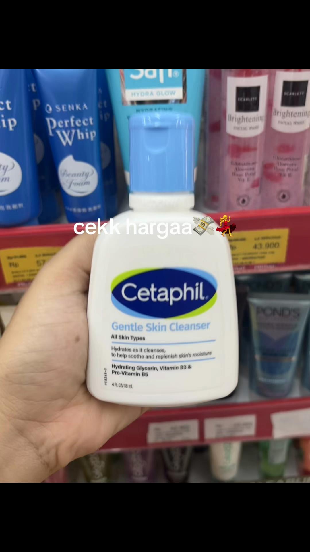 @ciuuu🐙