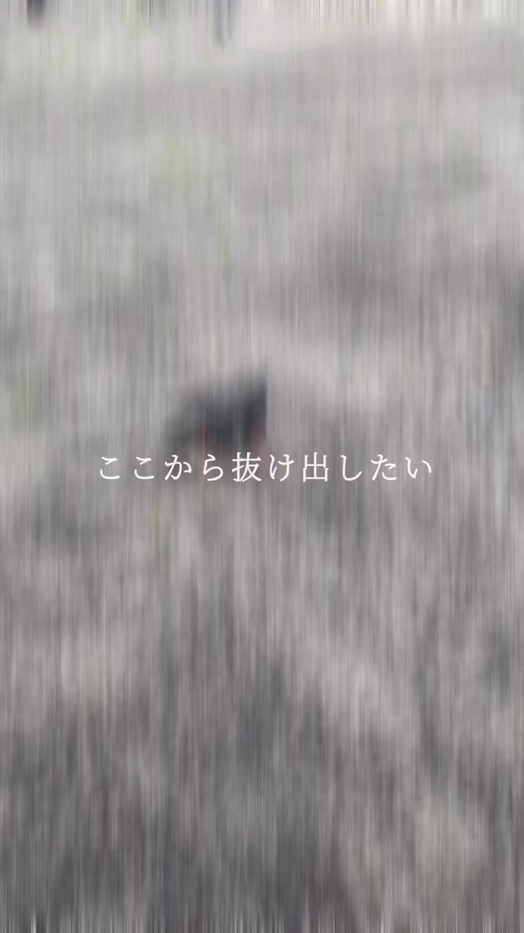 @雫斗