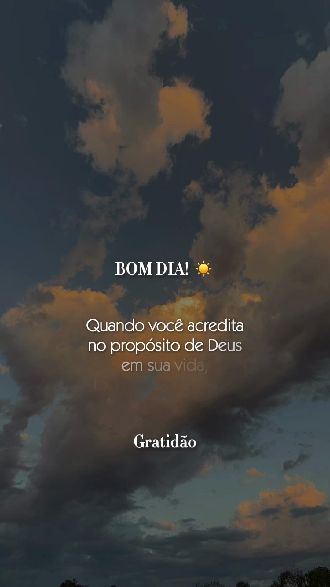 @Suzana Calixto