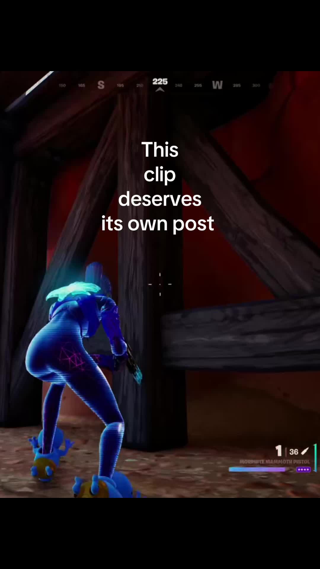 @oodles_._
