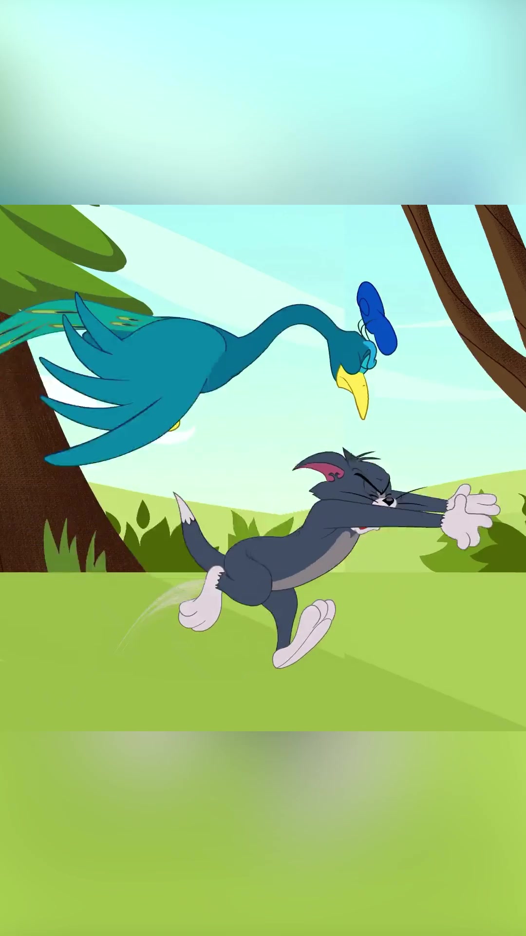 @Tom and Jerry