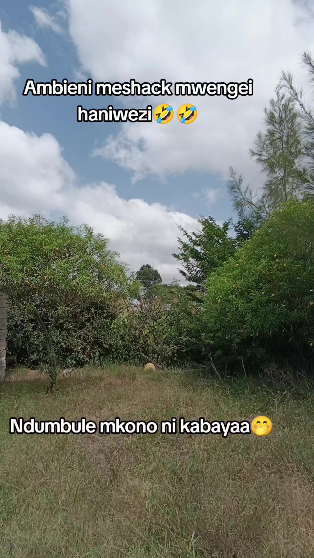 @NDUMBULE