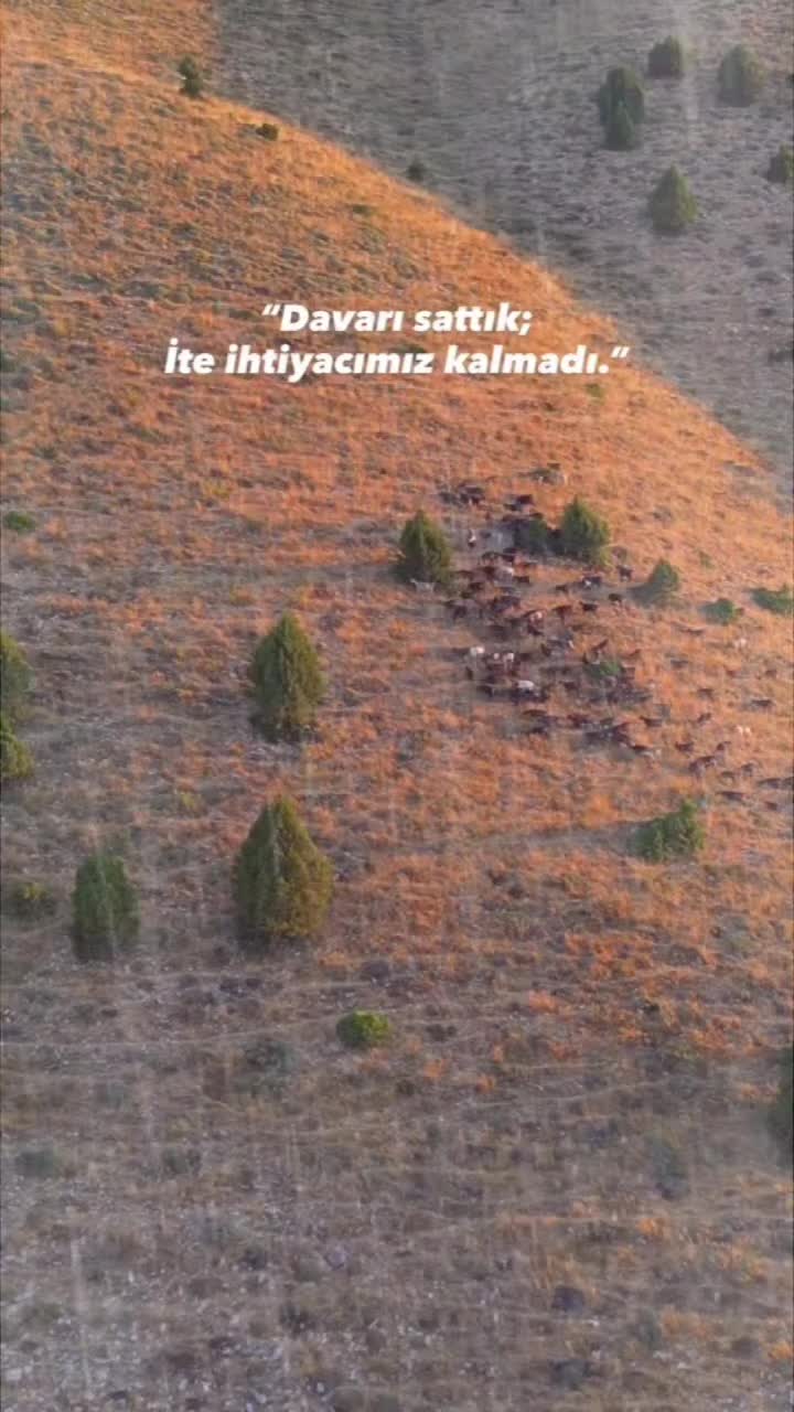 @Damar s&ouml;zler