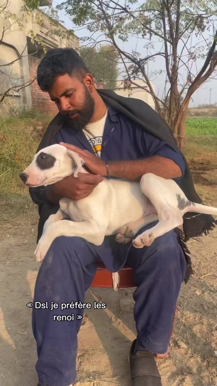 @Abdullah Mattu