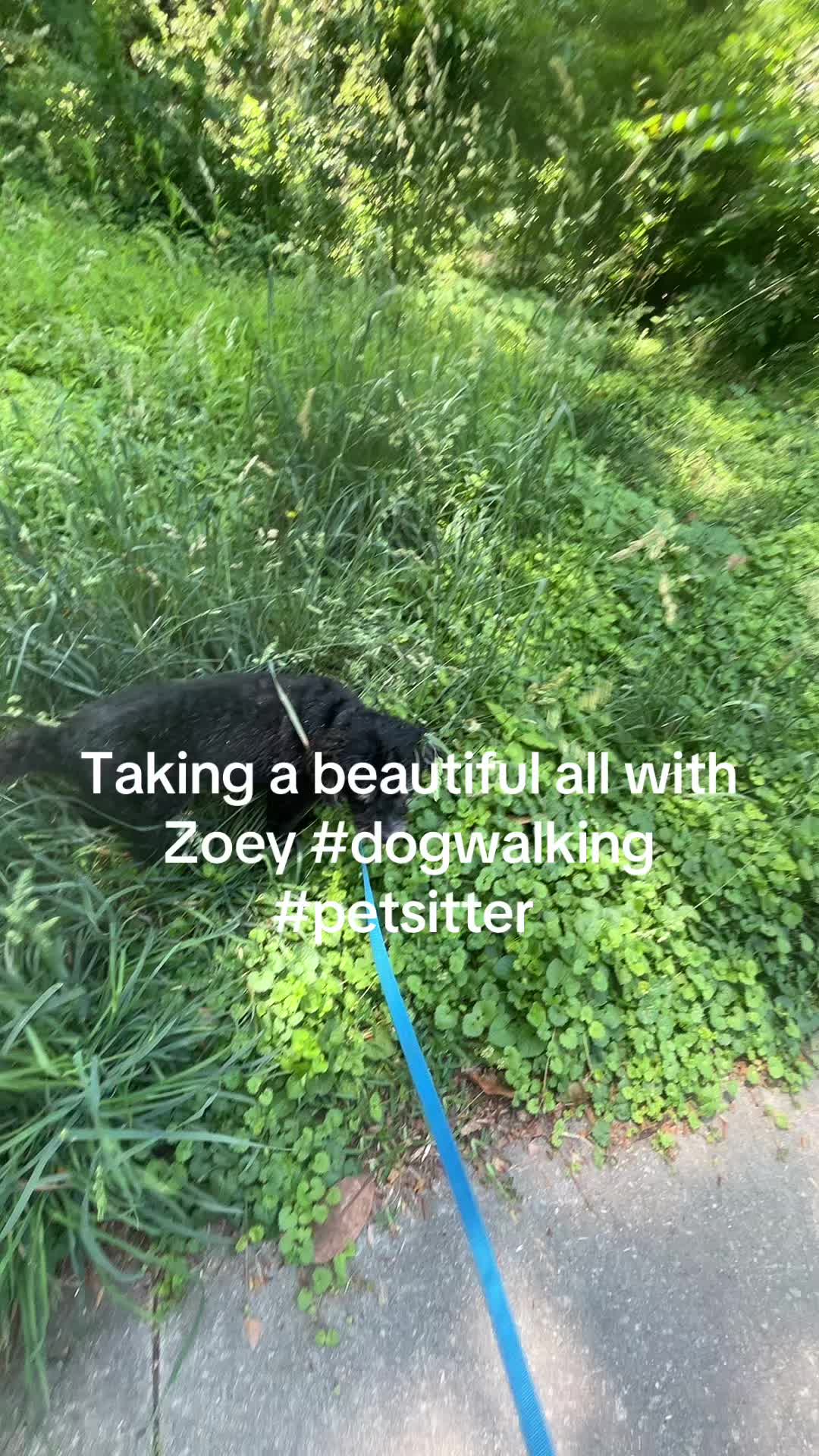 @Cheskie24