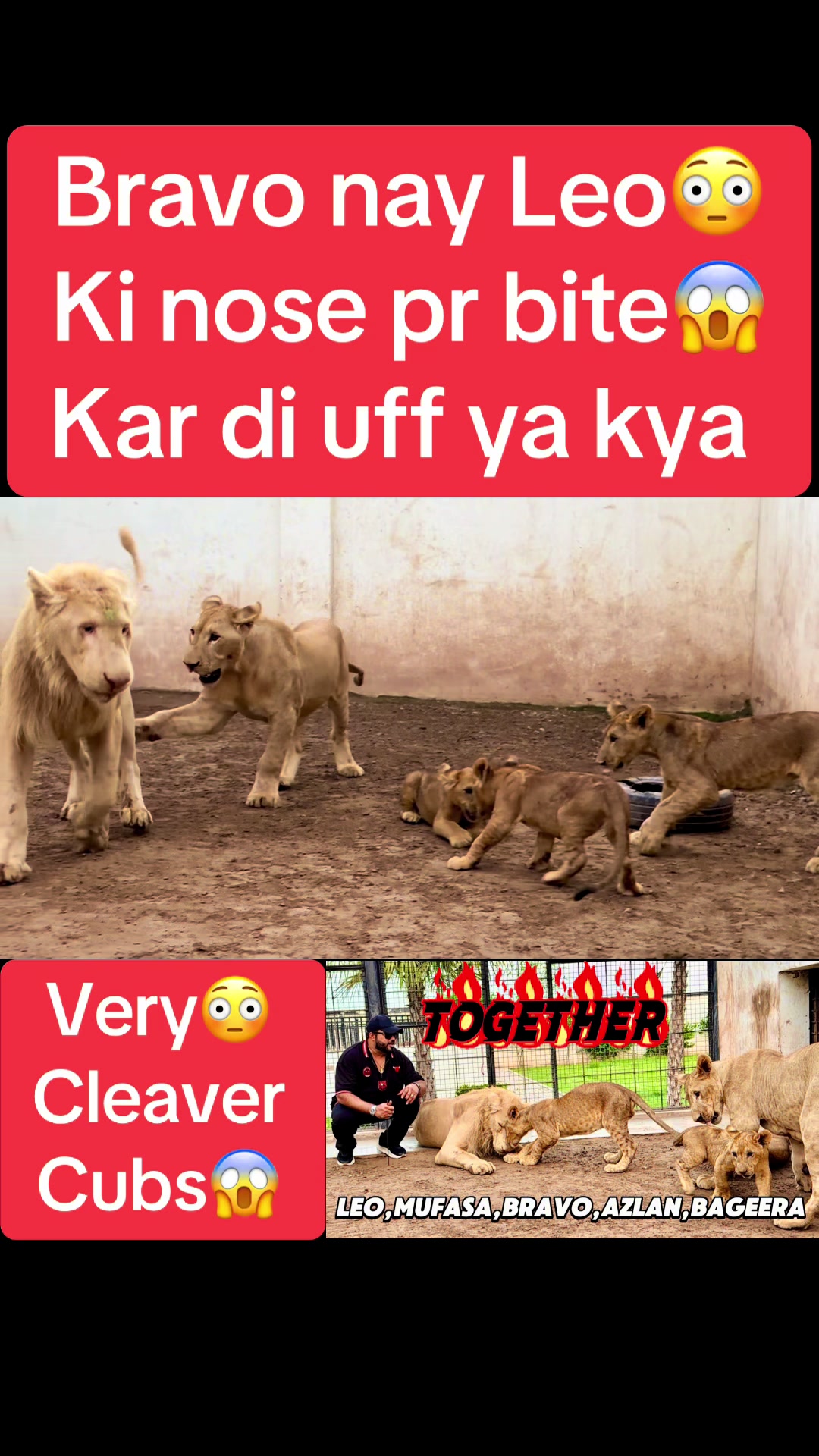 @Mian saqib